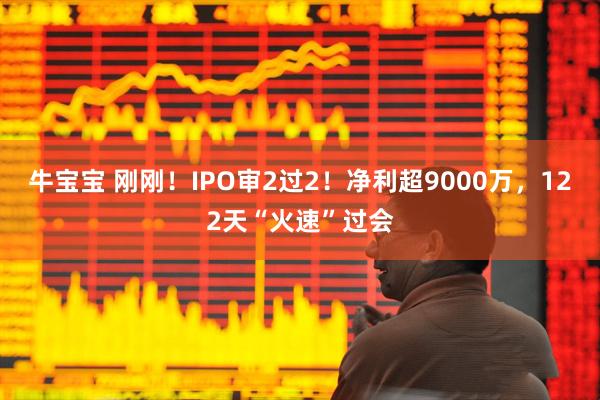牛宝宝 刚刚！IPO审2过2！净利超9000万，122天“火速”过会